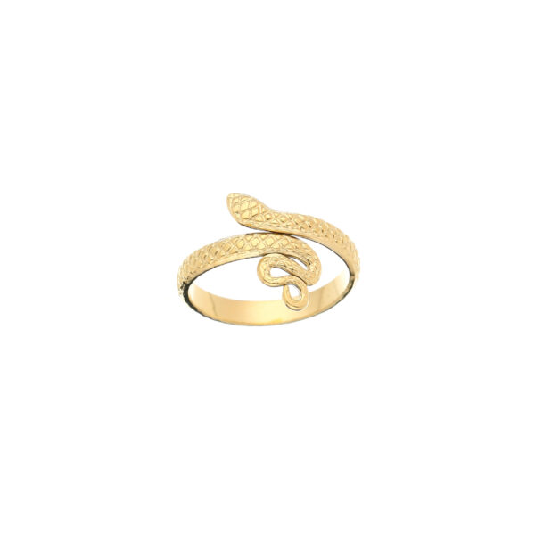 Ring snake goud