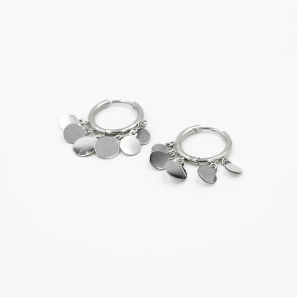 Oorbel muntjes zilver