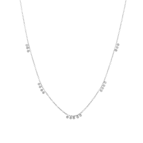 Ketting muntjes zilver