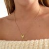 Ketting Demi goud